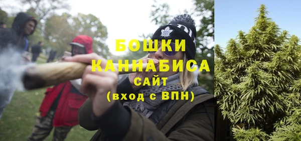 сатива Михайлов