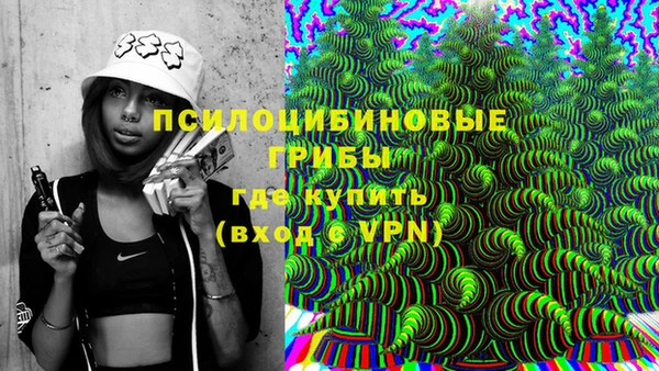 сатива Михайлов
