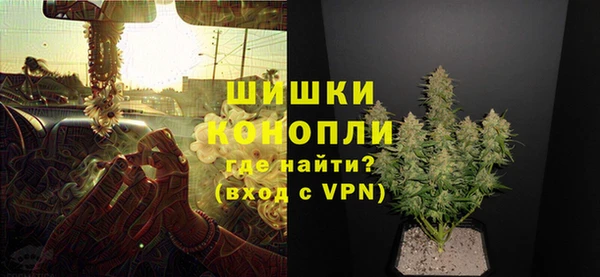 сатива Михайлов