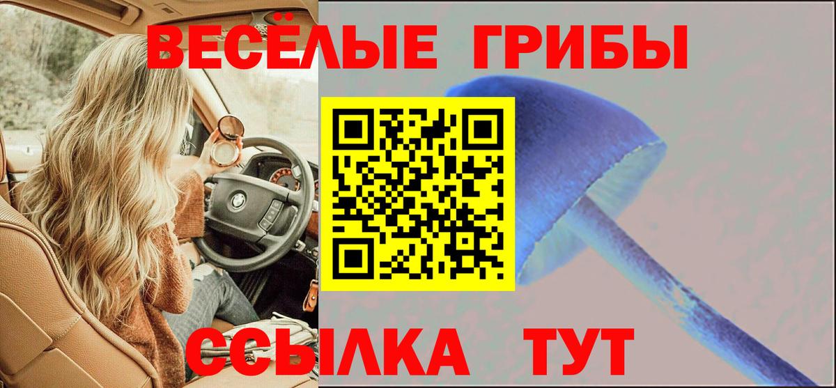 Псилоцибиновые грибы Psilocybine cubensis Красный Сулин