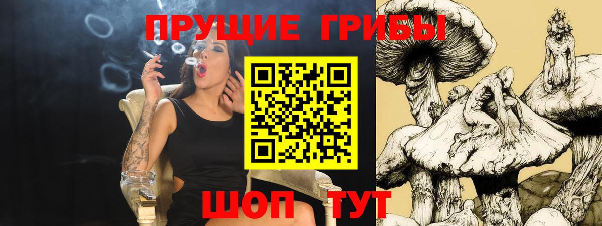 Красный Сулин  Псилоцибиновые грибы Magic Shrooms  Вход с VPN 